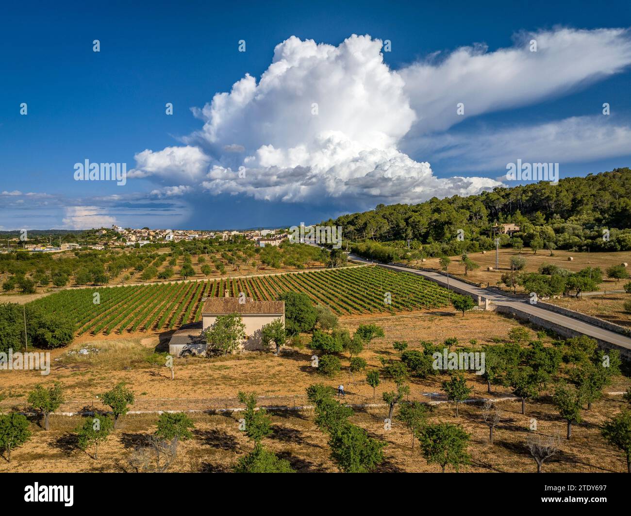 Vue aérienne de la ville de Santa Eugènia et de ses champs environnants avec un nuage de tempête en arrière-plan (Majorque, Îles Baléares, Espagne) Banque D'Images