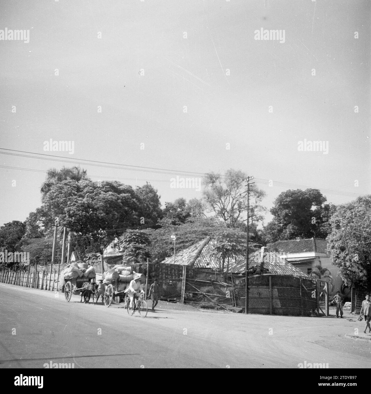 Chariots entièrement chargés sur une route en Java ca. 1946 Banque D'Images