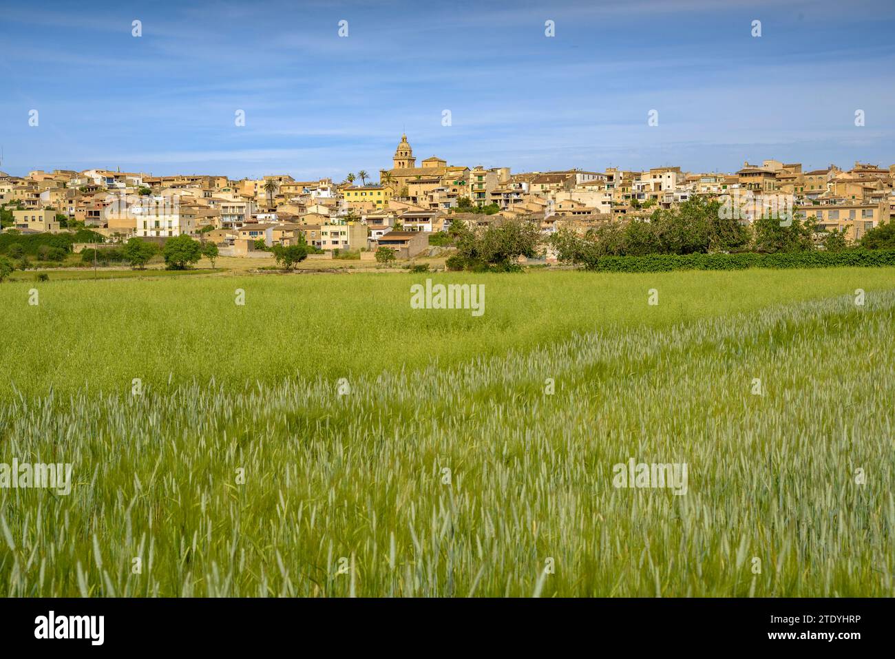 Montuïri village and cultivated fields near the village, green in spring (Mallorca, Balearic Islands, Spain) ESP: Pueblo de Montuïri y campos rurales Banque D'Images