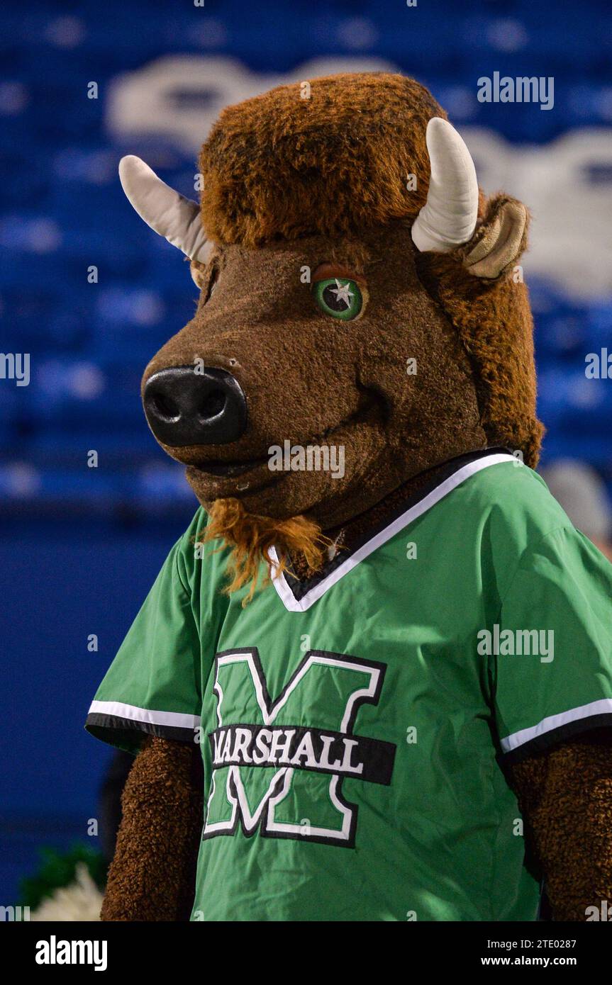 Toyota Stadium, Frisco, Texas, États-Unis. 19 décembre 2023. Marshall Thundering Herd Mascot Marco the Bison lors du match Scooter Coffee Frisco Bowl entre le Marshall University Thundering Herd et les UTSA Roadrunners au Toyota Stadium, Frisco, TX. USTA gagne contre Marshall, 35-17.Patrick Green/CSM/Alamy Live News Banque D'Images