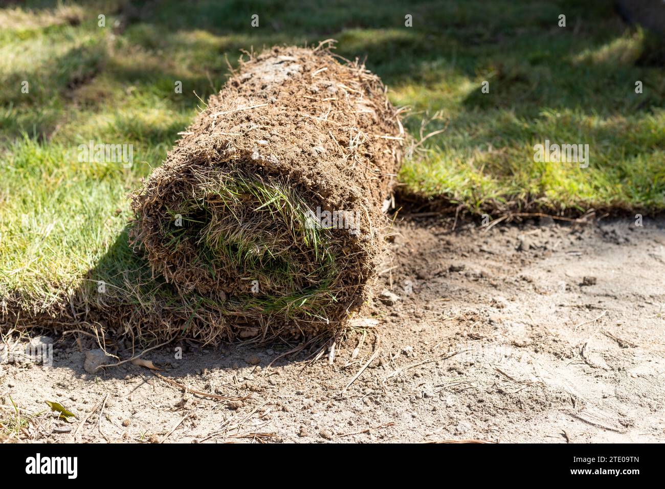 Gros plan des rouleaux d'herbe posés sur le sol pour la nouvelle pelouse Banque D'Images