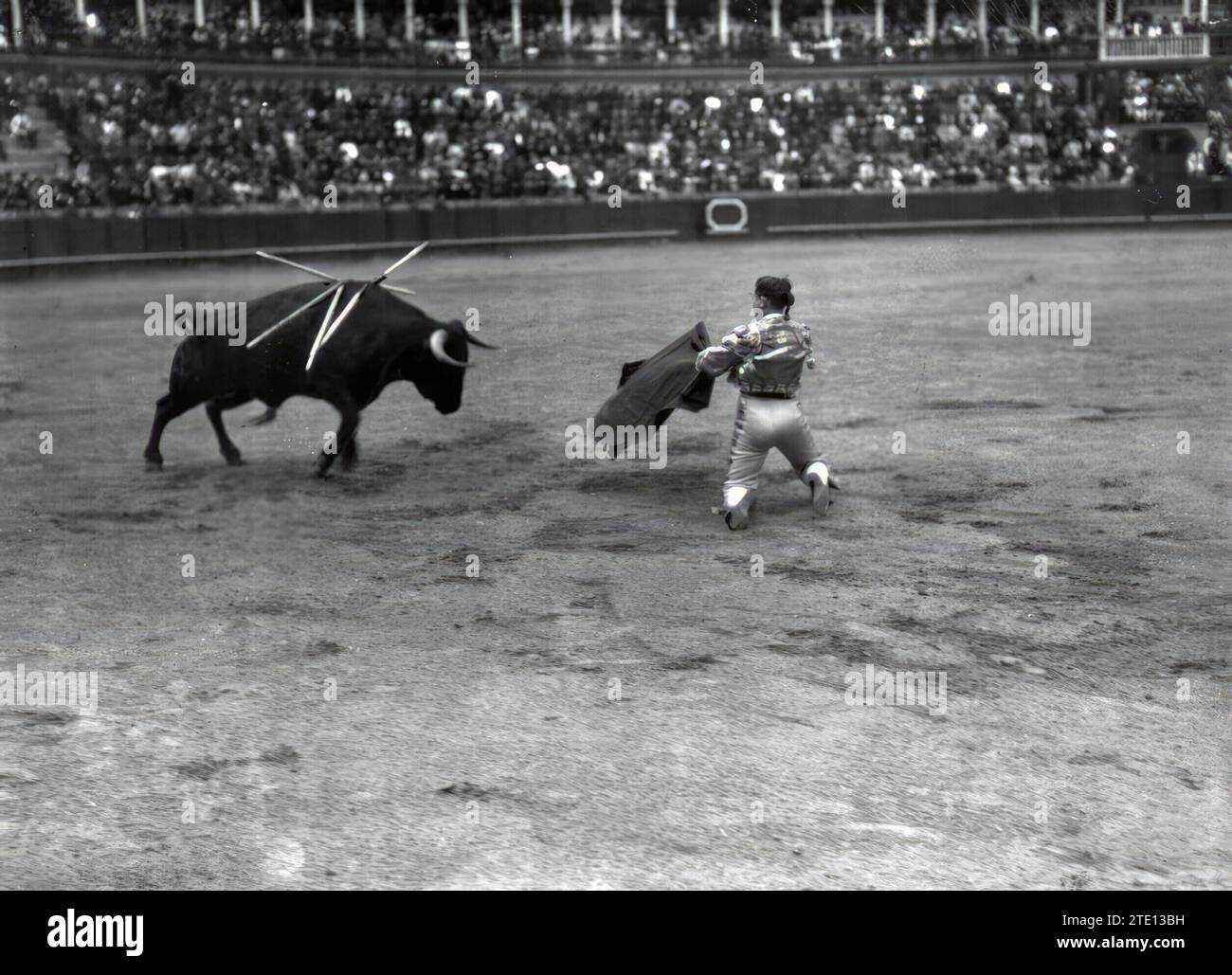 06/01/1912. Séville. Vázquez II va de muleta, à genoux, à son premier Bull Crédit : Album / Archivo ABC / Juan Barrera Banque D'Images