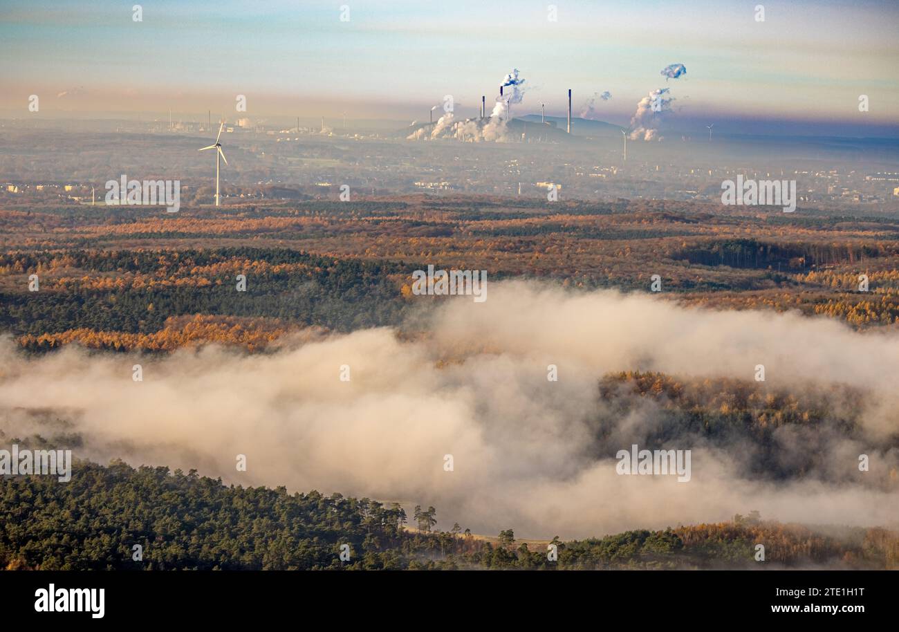 Vue aérienne, vagues de brouillard au-dessus de la forêt d'automne Die Haard, cheminées fumantes et nuages de fumée des tours de refroidissement de la centrale électrique, lointain Banque D'Images