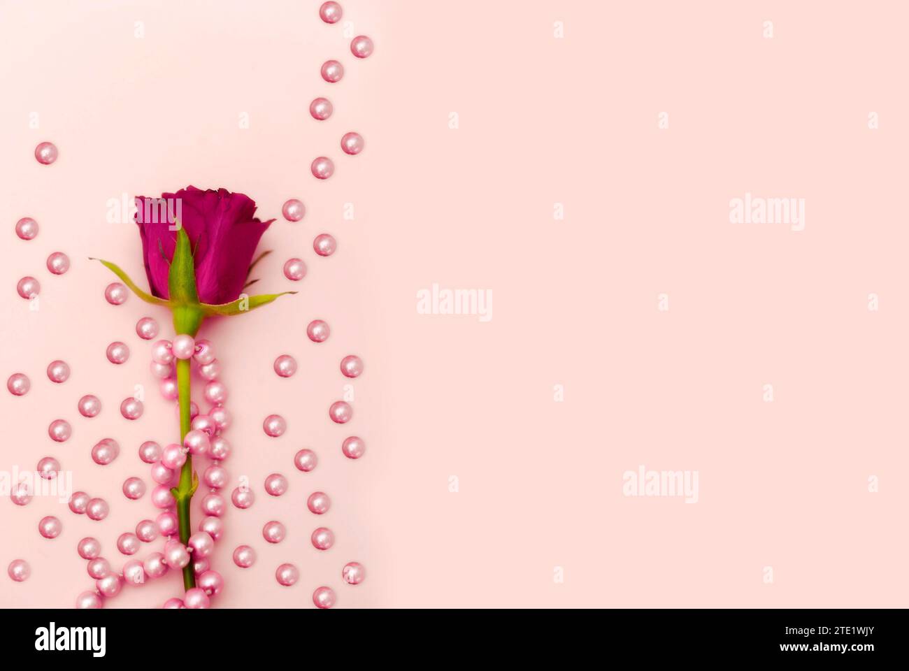 rose violette romantique avec des perles roses comme un bel amour et un fond de luxe avec espace de copie Banque D'Images