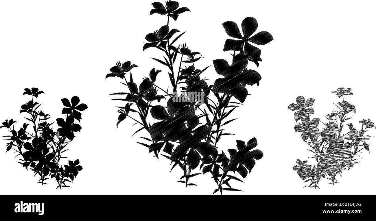 Élégance florale contrastant branches silhouettes Illustration de Vecteur