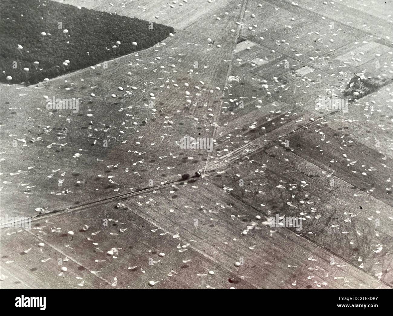 OPÉRATION MARKET GARDEN Dakotas , près du village de Wolfhazen à l'ouest d'Arnhem, lâchant la brigade de parachutistes IST sur la DZ (zone de largage) X , le 17 septembre 1944 Banque D'Images