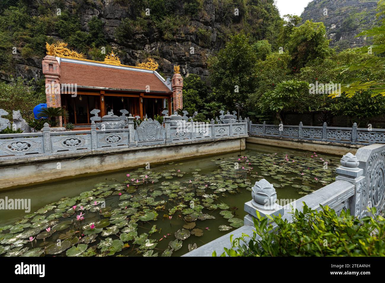 Petit Temple dans le paysage de Ninh Binh au Vietnam Banque D'Images