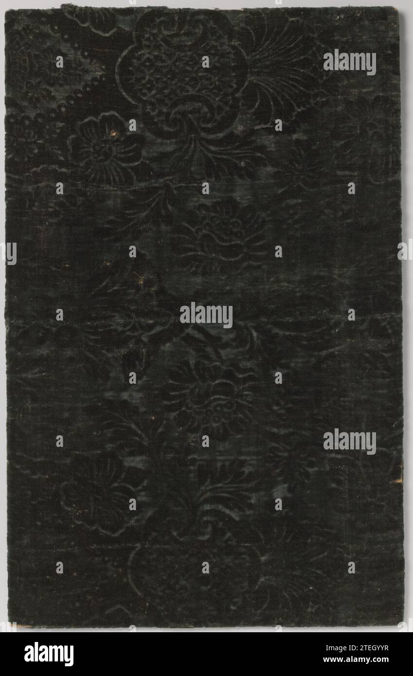 Fragment de revêtement mural de Pressed Trijp (?), en vert foncé, anonyme, c. 1600 - 1800 fragment de tissu à pointes vert foncé avec motif floral, vraisemblablement de Pressed Trijp. Dos de lin ferme. Piscine : mohair. Tissu de sol : tissu de lin (matériau) fragment vert foncé à l'épancing avec motif floral, probablement de Trijp pressé. Dos de lin ferme. Piscine : mohair. Tissu de sol : lin (matériel) Banque D'Images