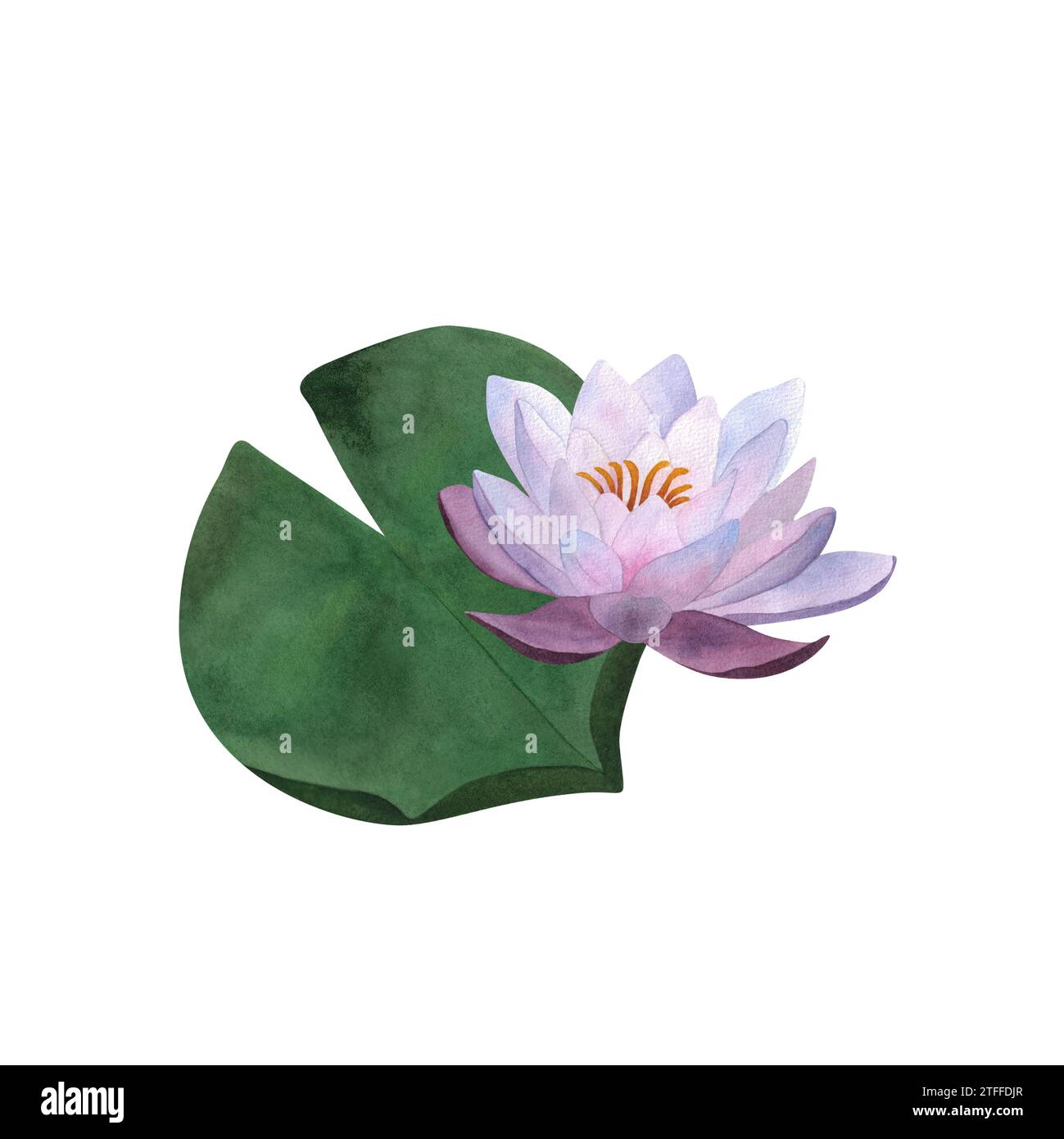 Aquarelle violette aquarelle et feuille composition botanique pour cartes postales, logos de yoga spa, invitations pour la fête des mères, fête des femmes 2024, anniversaire Banque D'Images