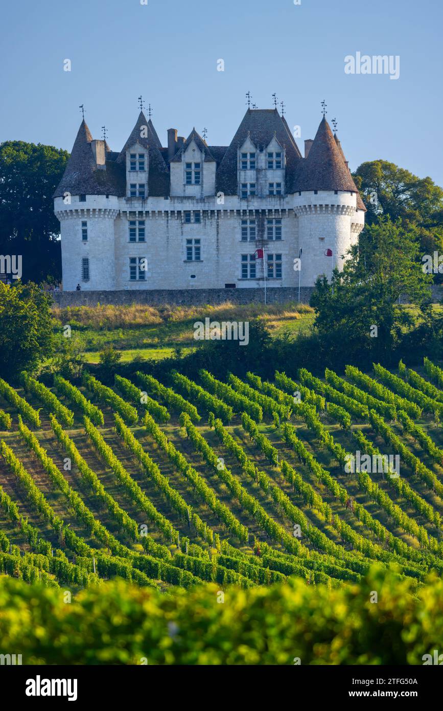 Château de Monbazillac (château de Monbazillac) avec vignes, Aquitaine, France Banque D'Images