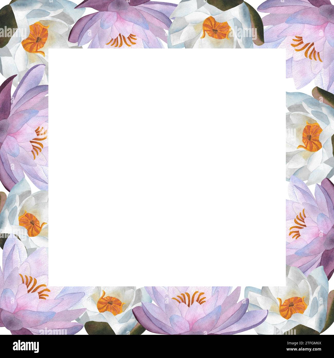 Cadre horizontal avec aquarelle délicate violette White aquarelle clipart floral pour cartes postales, décoration, affiches, annonces, cadres, Journée de la femme 2024 Banque D'Images