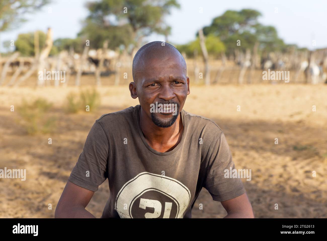 homme africain du village dans la cour devant le krall avec son bétail Banque D'Images