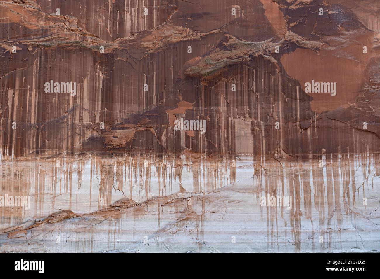 Vernis du désert sur mur de grès, Rock Creek Bay, Lake Powell, Utah Banque D'Images