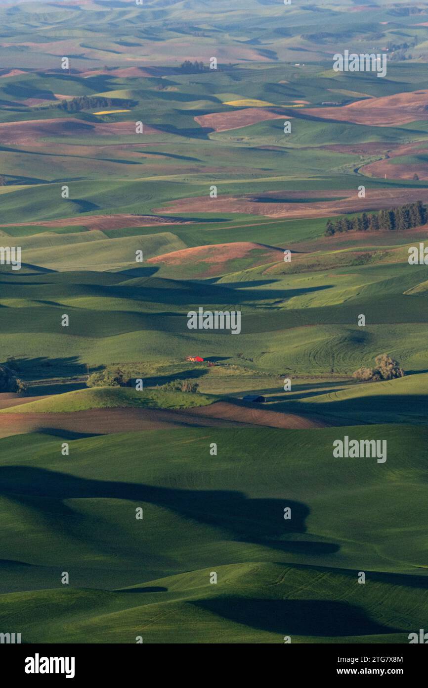 Grange rouge à l'aube de Steptoe Butte, Palouse, Washington Banque D'Images