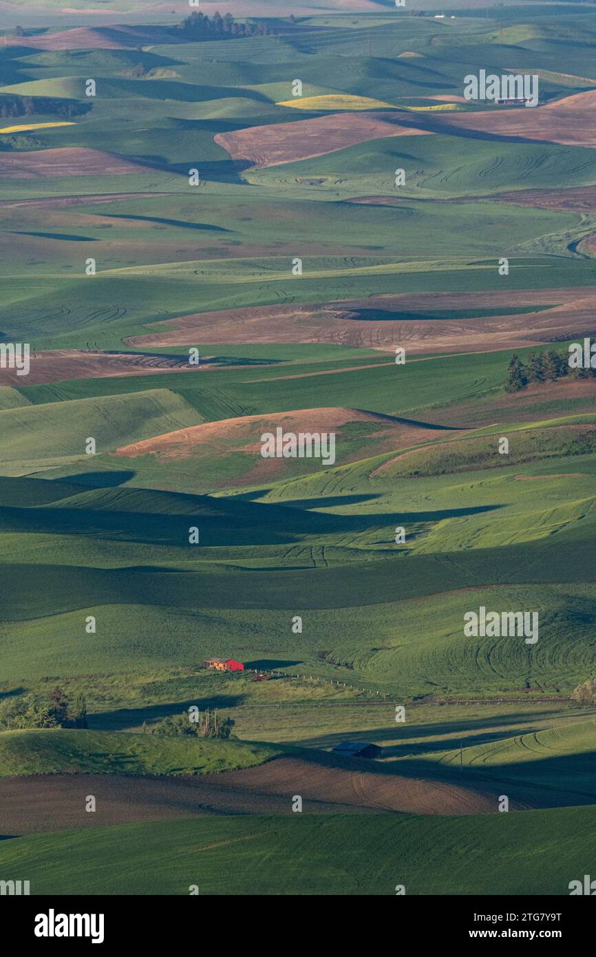 Grange rouge à l'aube de Steptoe Butte, Palouse, Washington Banque D'Images
