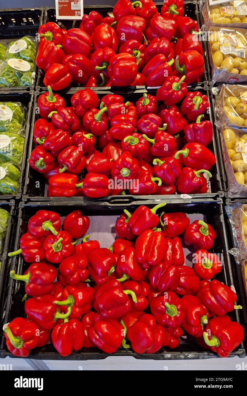 Altenkirchen Themenfoto : konsum, Versorgung, Nahrungsmittel, Supermarkt, Einkauf, Gemuese, Versorgung, 19.12.2023 Eine Kiste mit roten Paprika in einem REWE-Supermarkt Themenfoto : konsum, Versorgung, Nahrungsmittel, Supermarkt, Einkauf, Gemuese, Versorgung, 19.12.2023 *** Altenkirchen thème photo consommation, approvisionnement, nourriture, supermarché, shopping, légumes, approvisionnement, 19 12 2023 Une boîte de poivrons rouges dans un supermarché REWE thème photo consommation, approvisionnement, nourriture, supermarché, shopping, légumes, approvisionnement, 19 12 2023 Copyright : xAugstx/xEibner-Pressefotox EP jat Banque D'Images