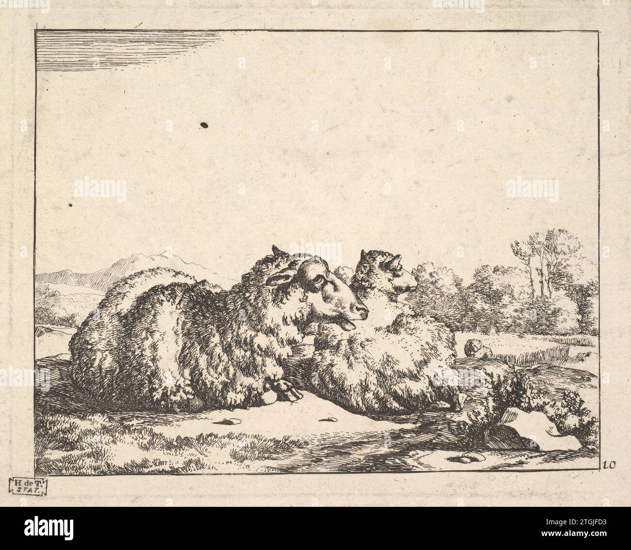 Moutons, d'un ensemble de 16 planches 2012 par Marcus de Bye Banque D'Images