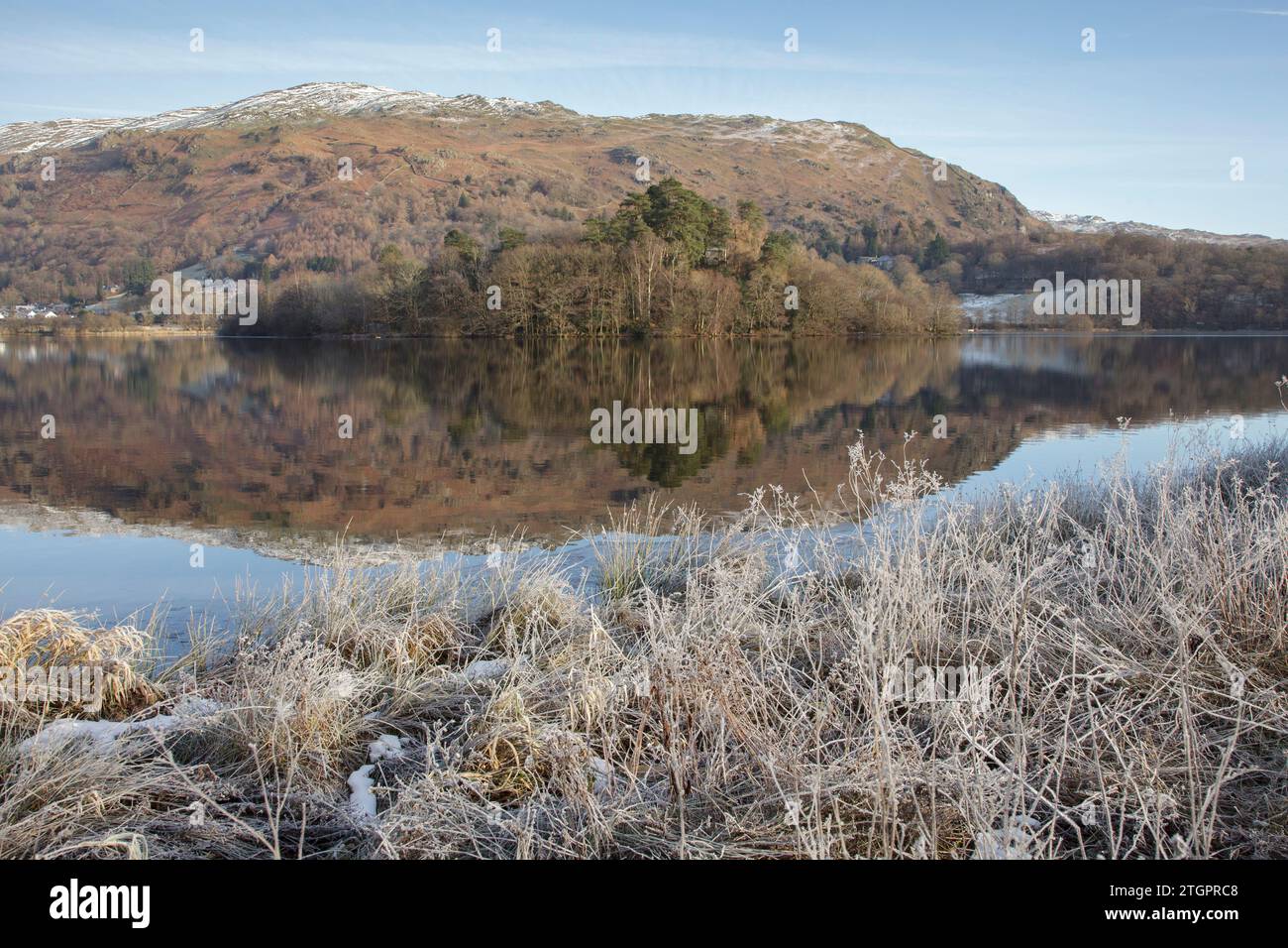 Plantes givrées au bord du lac de Grasmere dans le Lake District, un matin encore d'hiver Banque D'Images
