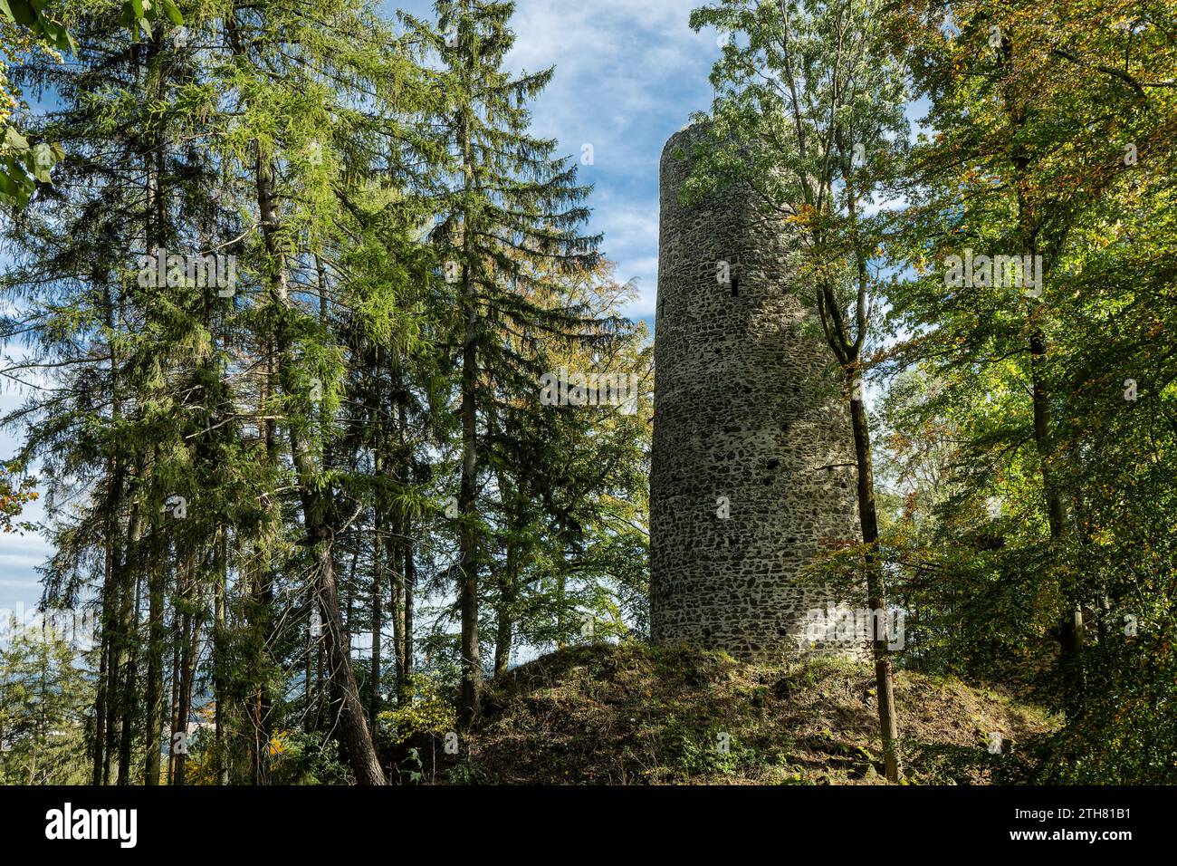 Cernosin, République tchèque - octobre 13 2023 : vue du château en ruine Volfstejn debout sur une colline dans la forêt. La tour de pierre est en cours de reconstruction Banque D'Images