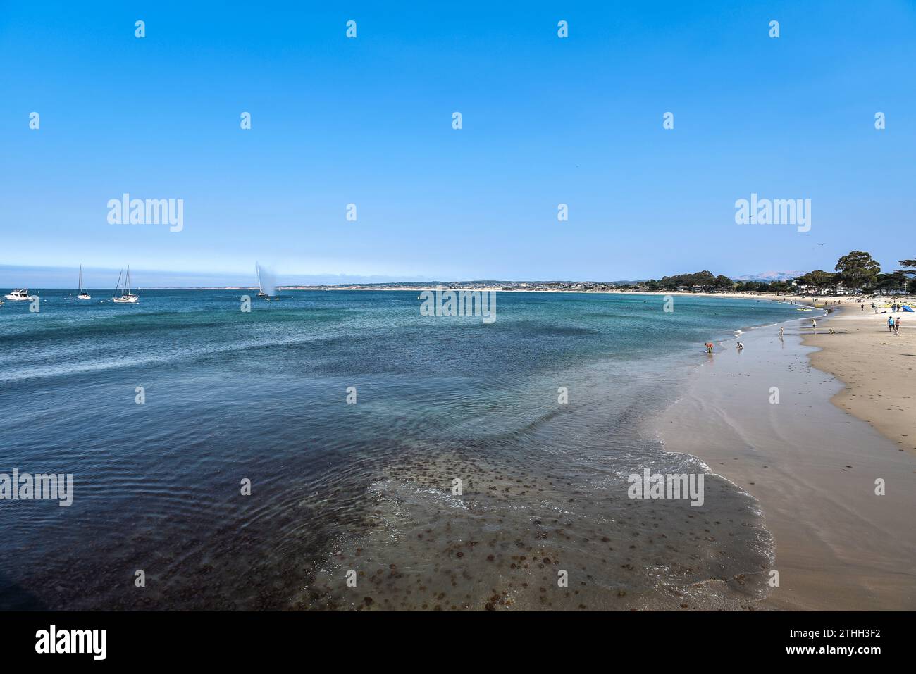 Les rives de la baie de Monterey un jour d'été - Californie, États-Unis Banque D'Images