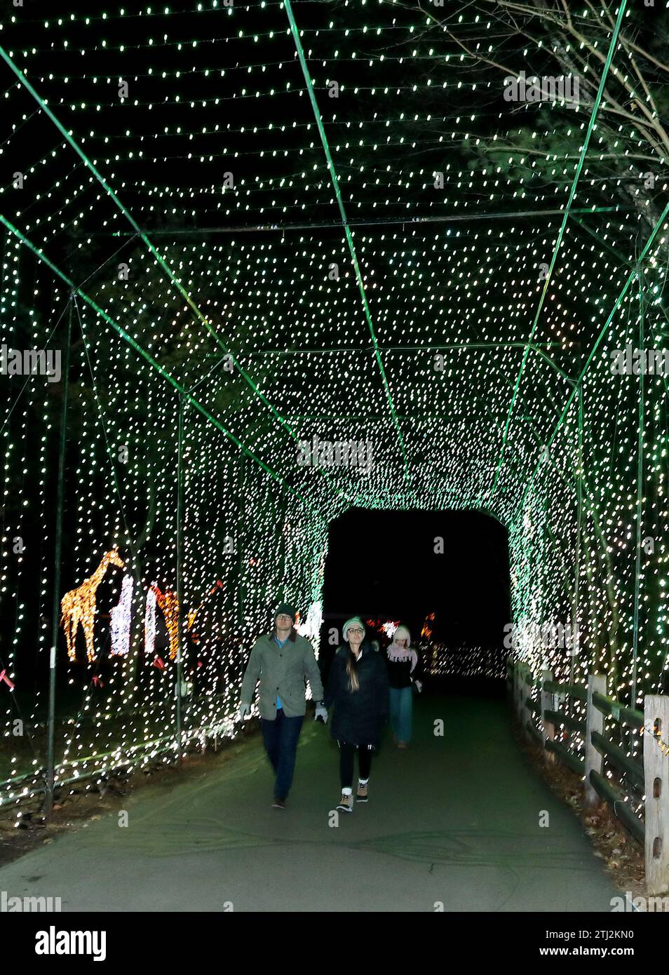Les gens qui apprécient l'exposition de lumière de vacances Wild Lights du zoo de Detroit Banque D'Images