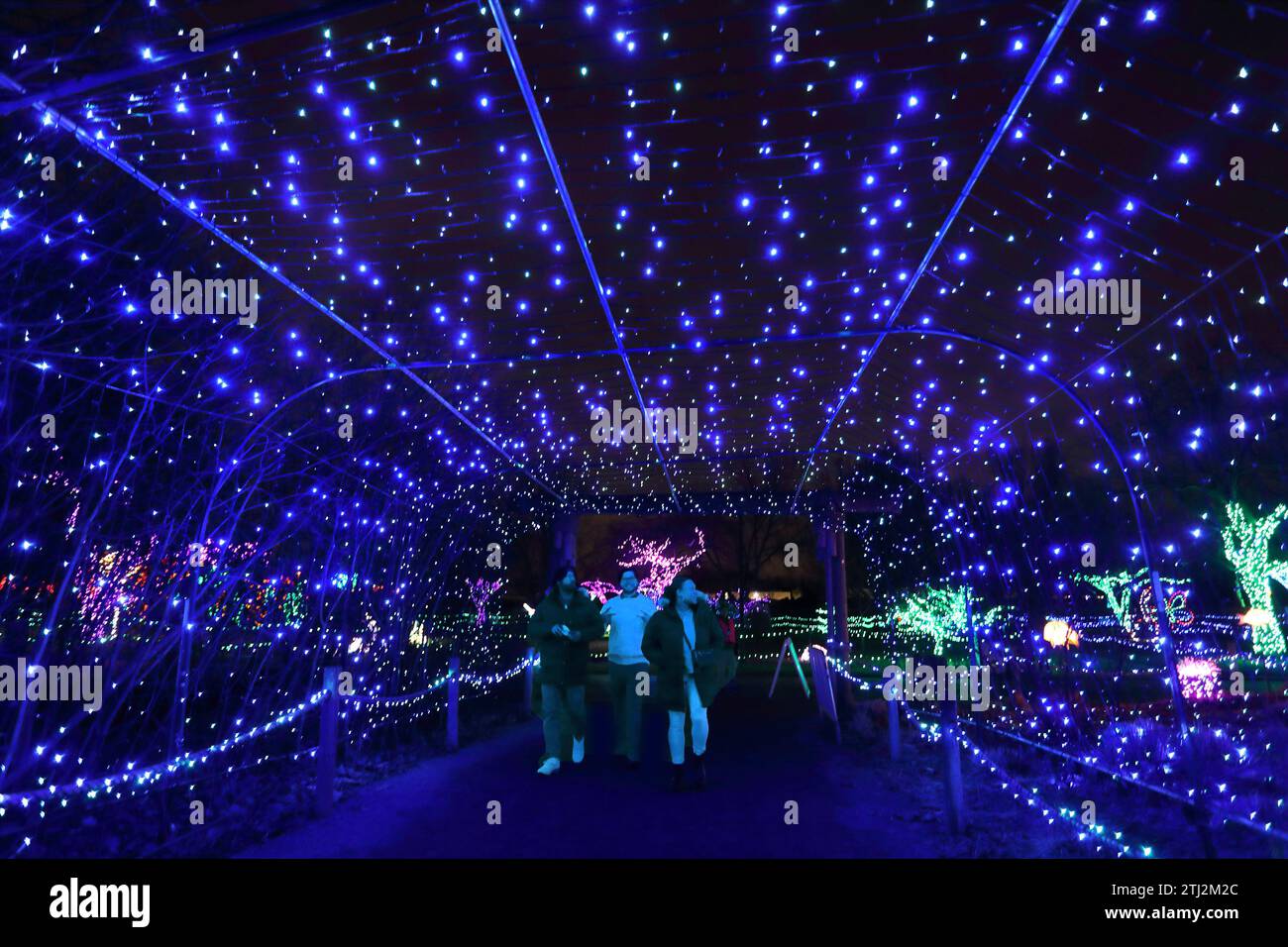 Les gens apprécient l'exposition lumineuse de Noël Wild Lights du zoo de Détroit Banque D'Images