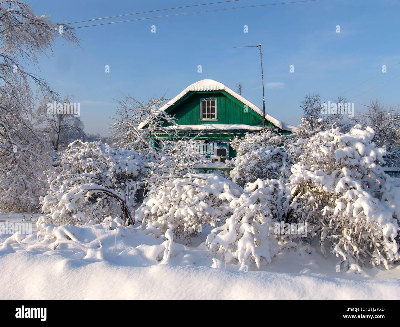 Bonne année 2024. Carte de voeux. Arbre de Noël. Flocons de neige sur neige. Maison. Banque D'Images
