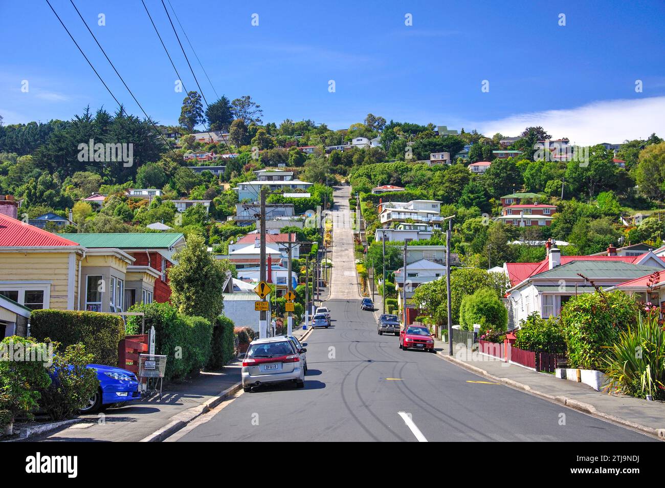 Baldwin Street (rue la plus raide du monde), du nord-est de la vallée, Dunedin, Otago, île du Sud, Nouvelle-Zélande Banque D'Images