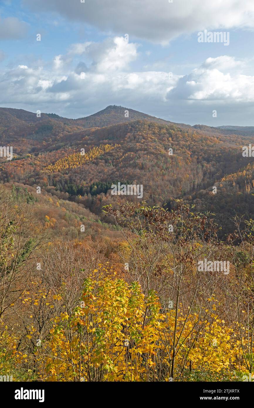 Montagnes, forêt automnale, vue depuis Dragon's Rock, Siebengebirge, Königswinter, Rhénanie du Nord-Westphalie, Allemagne Banque D'Images