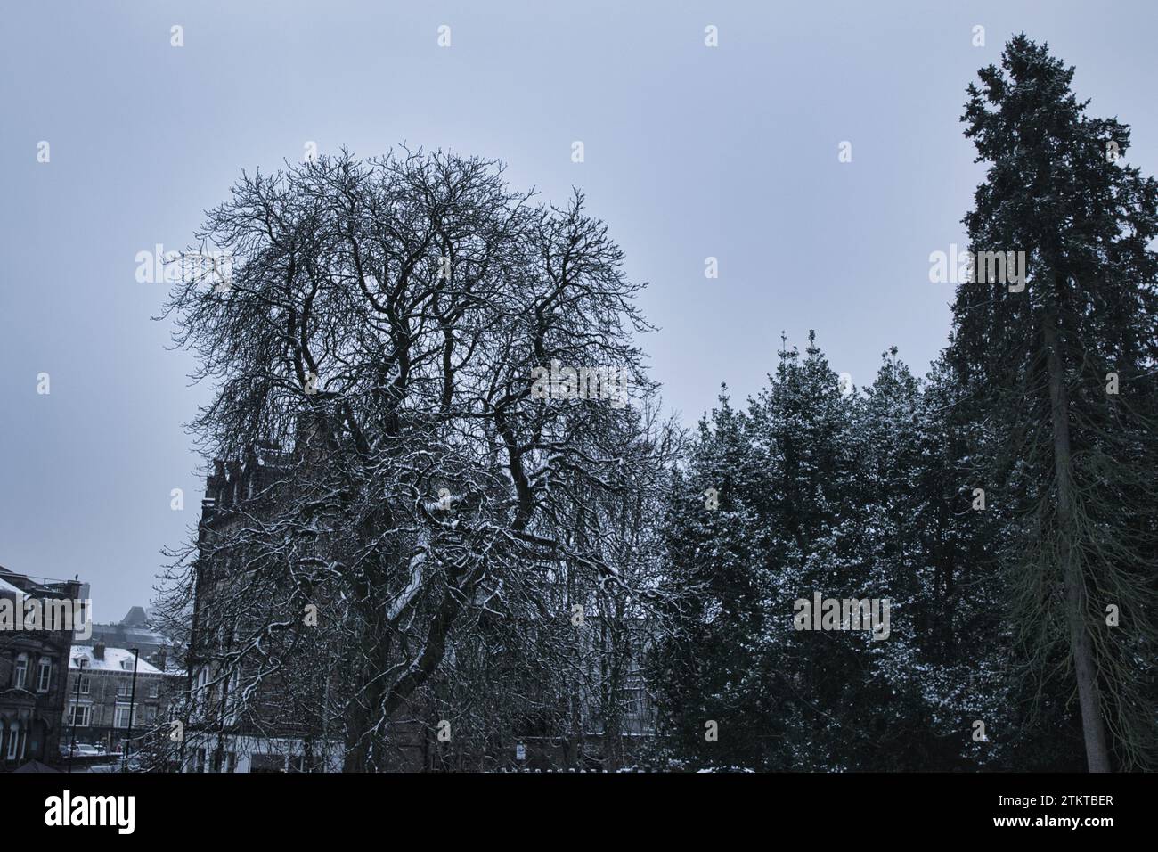 Images panoramiques prises pendant l'hiver à Valley Gardens Harrogate Banque D'Images