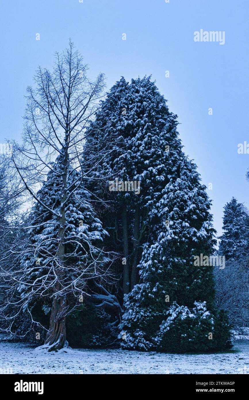 Images panoramiques prises pendant l'hiver à Valley Gardens Harrogate Banque D'Images