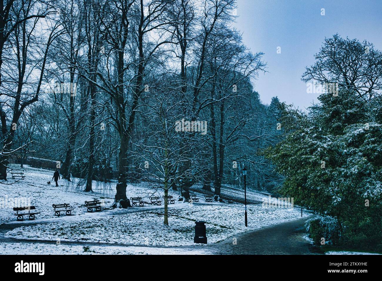 Images panoramiques prises pendant l'hiver à Valley Gardens Harrogate Banque D'Images