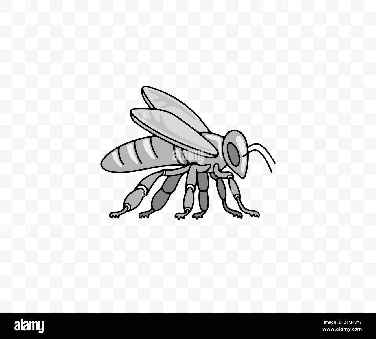 Abeille, insecte, animal, rucher et apiculture, graphisme. Abeille, jardin d'abeilles et apiculture, conception vectorielle et illustration Illustration de Vecteur