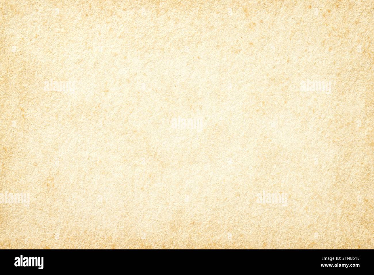 vieux fond de papier, toile jaunie pour l'écriture Banque D'Images