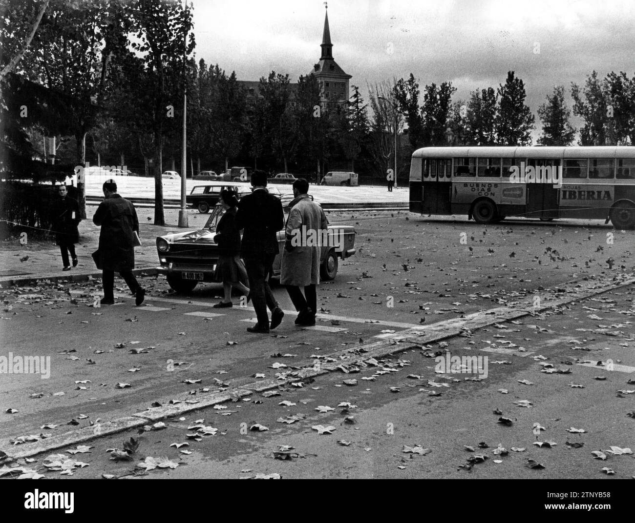 Madrid, novembre 1965. Vue partielle de Moncloa en automne. Crédit : Album / Archivo ABC / Jaime Pato Banque D'Images