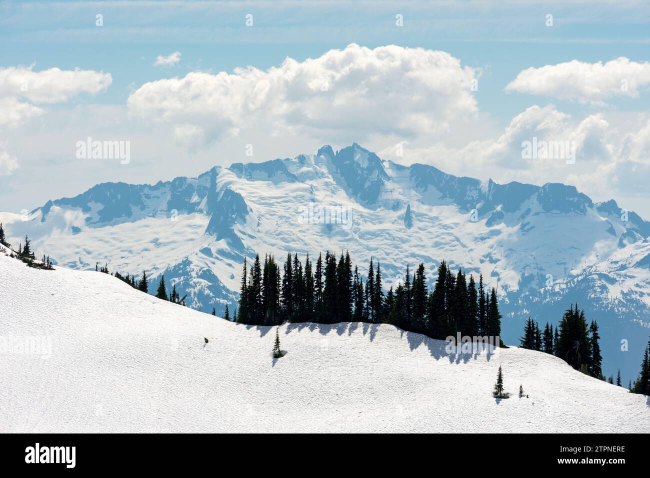 vue monochrome immaculée sur les pics et les forêts accidentés de la Colombie-Britannique Banque D'Images