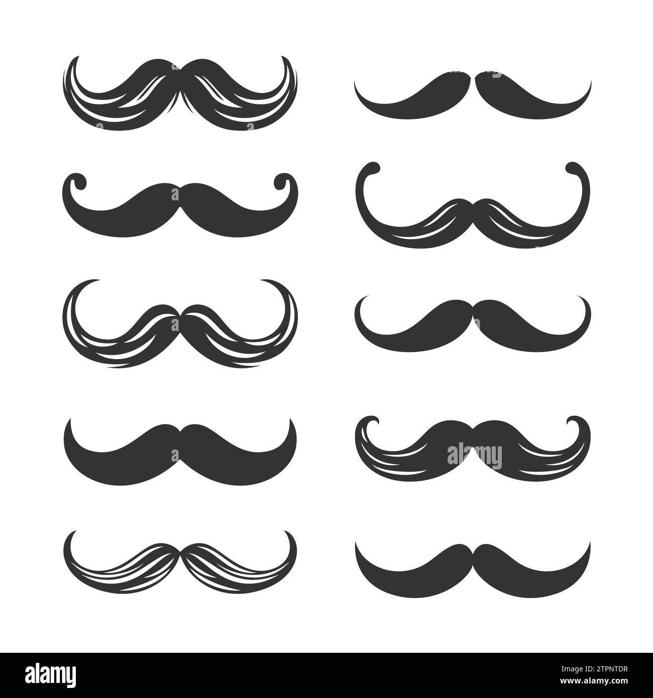 Set de moustache à isolation vectorielle. Décoration de fête de visage pour Portrait, Stencil. Illustration plate de dessin animé, forme de moustache du Père Noël, Silhouette. Pères Illustration de Vecteur