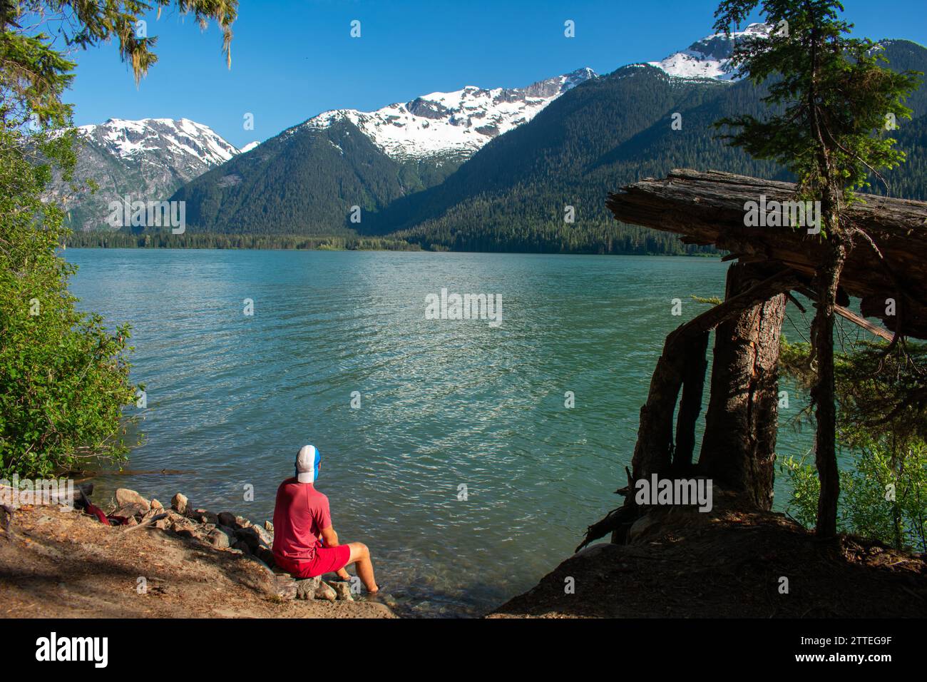 Un moment serein au lac Cheakamus où un individu trouve du réconfort dans les eaux glaciaires, entourées par la nature sauvage vierge de la Colombie-Britannique. Banque D'Images