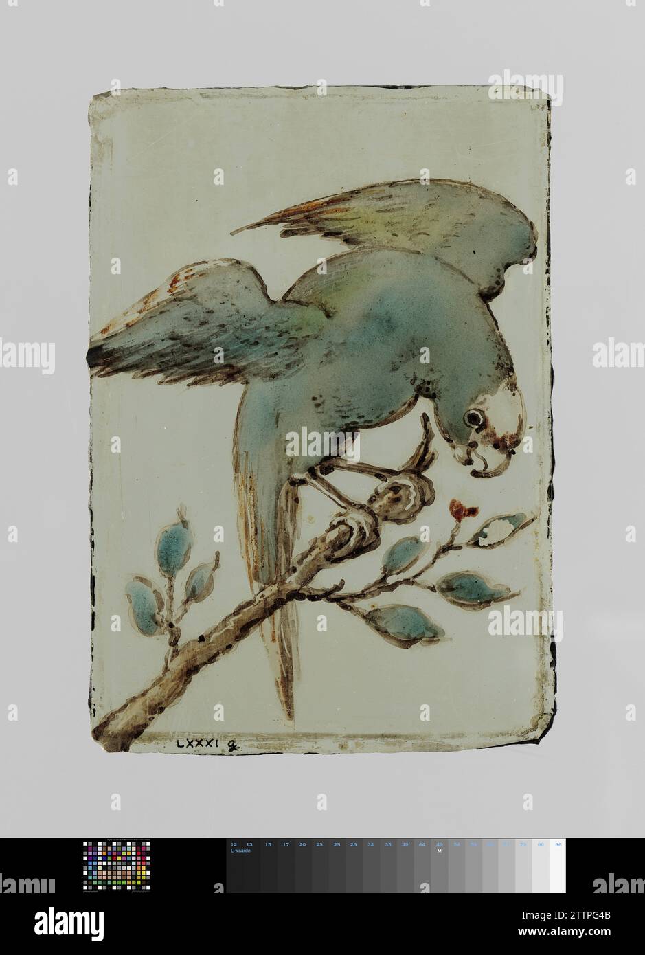 Fenêtre avec un oiseau aux ailes flamboyantes, anonyme, c. 1650 - c. 1675 Une fenêtre avec une peinture de courrier électronique d'un oiseau incurvé qui déploie ses ailes en bleu prédominant. verre. plomb (métal). Une fenêtre avec une peinture d'email d'un oiseau incurvé qui déploie ses ailes en bleu principalement. verre. plomb (métal). Banque D'Images