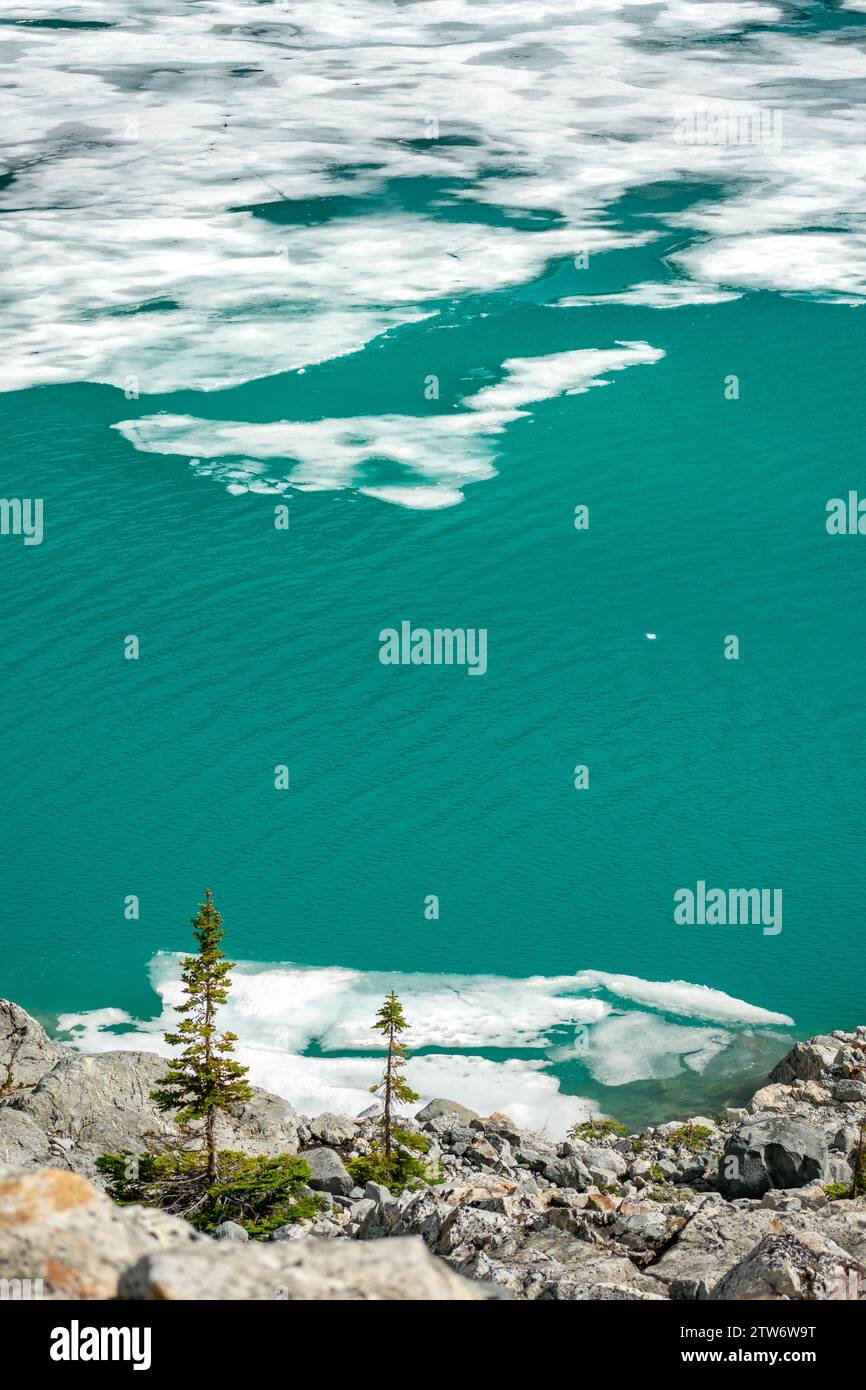 Les eaux émeraude du lac Wedgemount, ponctuées de banquises et d'arbres alpins robustes. Banque D'Images