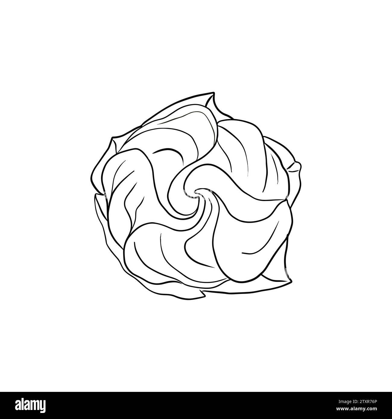 Fleur tropicale d'hibiscus. Fleur rose chinoise. Illustration d'art au trait vectoriel dessiné à la main pour logo, carte ou invitation, thé aux herbes de thé hibiscus thé. Isolé sur W Illustration de Vecteur Fleur tropicale d'hibiscus. Fleur rose chinoise. Illustration d'art au trait vectoriel dessiné à la main pour logo, carte ou invitation, thé aux herbes de thé hibiscus thé. Isolé sur W Illustration de Vecteur