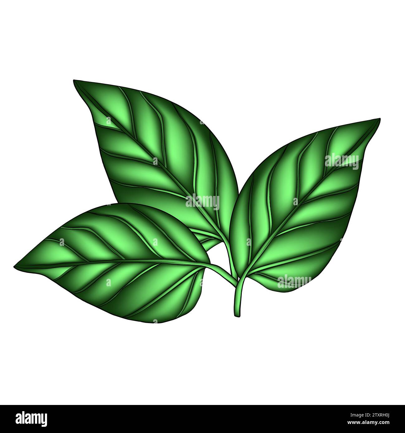 Icône de feuilles vertes sur fond isolé éléments de conception pour les étiquettes naturelles, écologiques, végétaliennes, bio. Illustration dessinée à la main à l'encre, isolat de vecteur botanique Illustration de Vecteur Icône de feuilles vertes sur fond isolé éléments de conception pour les étiquettes naturelles, écologiques, végétaliennes, bio. Illustration dessinée à la main à l'encre, isolat de vecteur botanique Illustration de Vecteur
