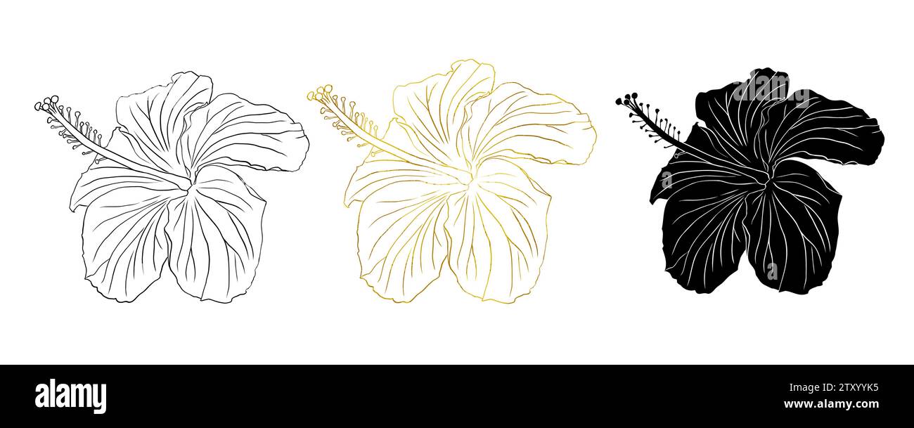 Feuille d'or, encre noire et fleur d'hibiscus tropical silhouette. Fleur rose chinoise. Illustration de dessin au trait vectoriel dessiné à la main pour logo, carte ou Illustration de Vecteur