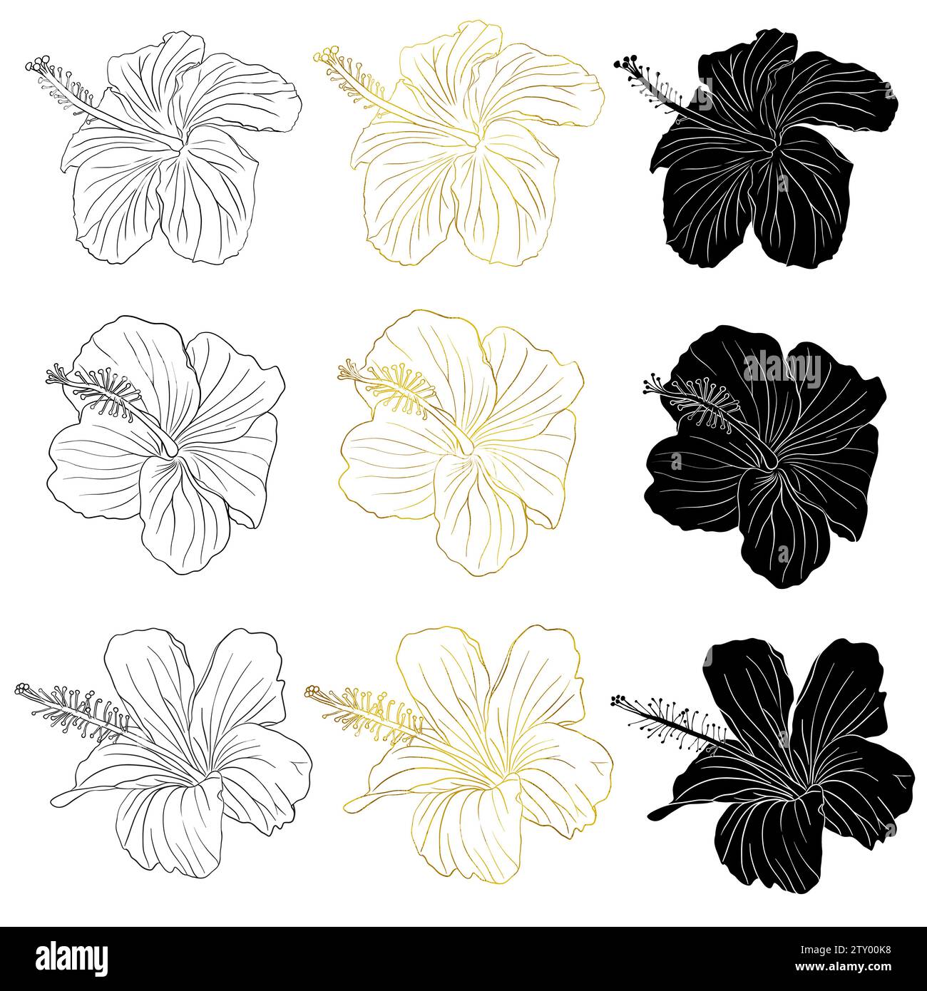 Feuille d'or, encre noire et fleur d'hibiscus tropical silhouette. Fleur rose chinoise. Illustration de dessin au trait vectoriel dessiné à la main pour logo, carte ou Illustration de Vecteur