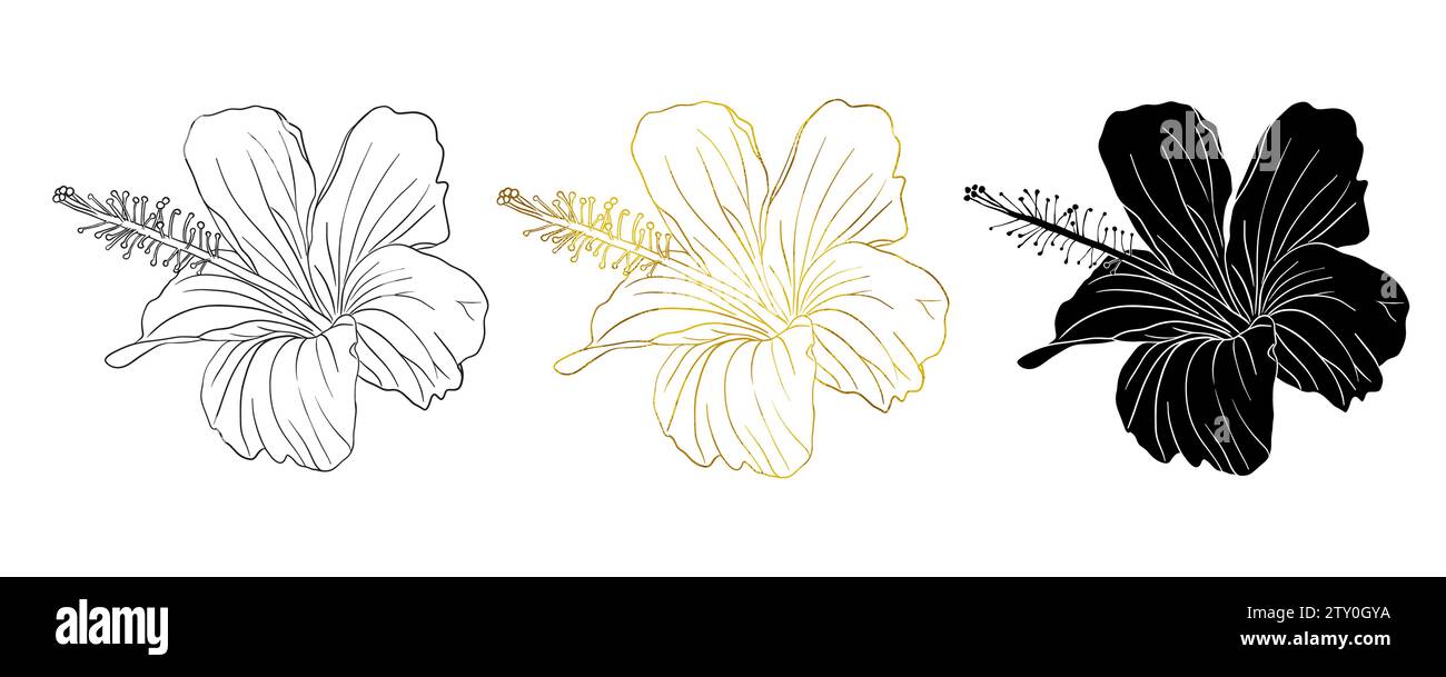 Feuille d'or, encre noire et fleur d'hibiscus tropical silhouette. Fleur rose chinoise. Illustration de dessin au trait vectoriel dessiné à la main pour logo, carte ou Illustration de Vecteur
