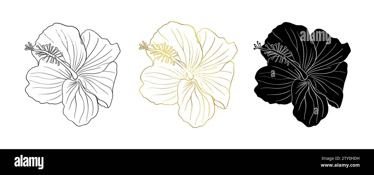 Feuille d'or, encre noire et fleur d'hibiscus tropical silhouette. Fleur rose chinoise. Illustration de dessin au trait vectoriel dessiné à la main pour logo, carte ou Illustration de Vecteur