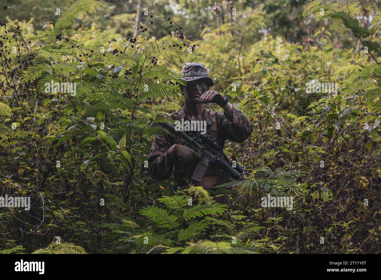 Sukabumi, Indonésie. 6 décembre 2023. Le Cpl Reagan Gessler, chef d'escouade du 1e Bataillon, 7e Régiment de Marines, attaché à la Marine Rotational Force-Southeast Asia, remet des signaux aux Marines indonésiennes avec le 4e Bataillon d'infanterie de Marines, Pasmar 1, en patrouille de sécurité lors de l’exercice Keris Marine 2023 dans le cadre du MRF-SEA dans la zone d’entraînement de Piabung à Sukabumi, Java Ouest, Indonésie, décembre. 6, 2023. MRF-SEA est un modèle opérationnel des Forces des Marines du Pacifique qui implique des échanges avec des experts en la matière, promeut des objectifs de sécurité avec les alliés et les partenaires, et des positions Banque D'Images