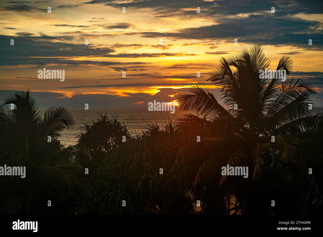 Coucher de soleil sombre sur l'océan Indien avec nuage de mousson dans le paradis tropical avec palmier. Waskaduwa, Sri Lanka. Banque D'Images