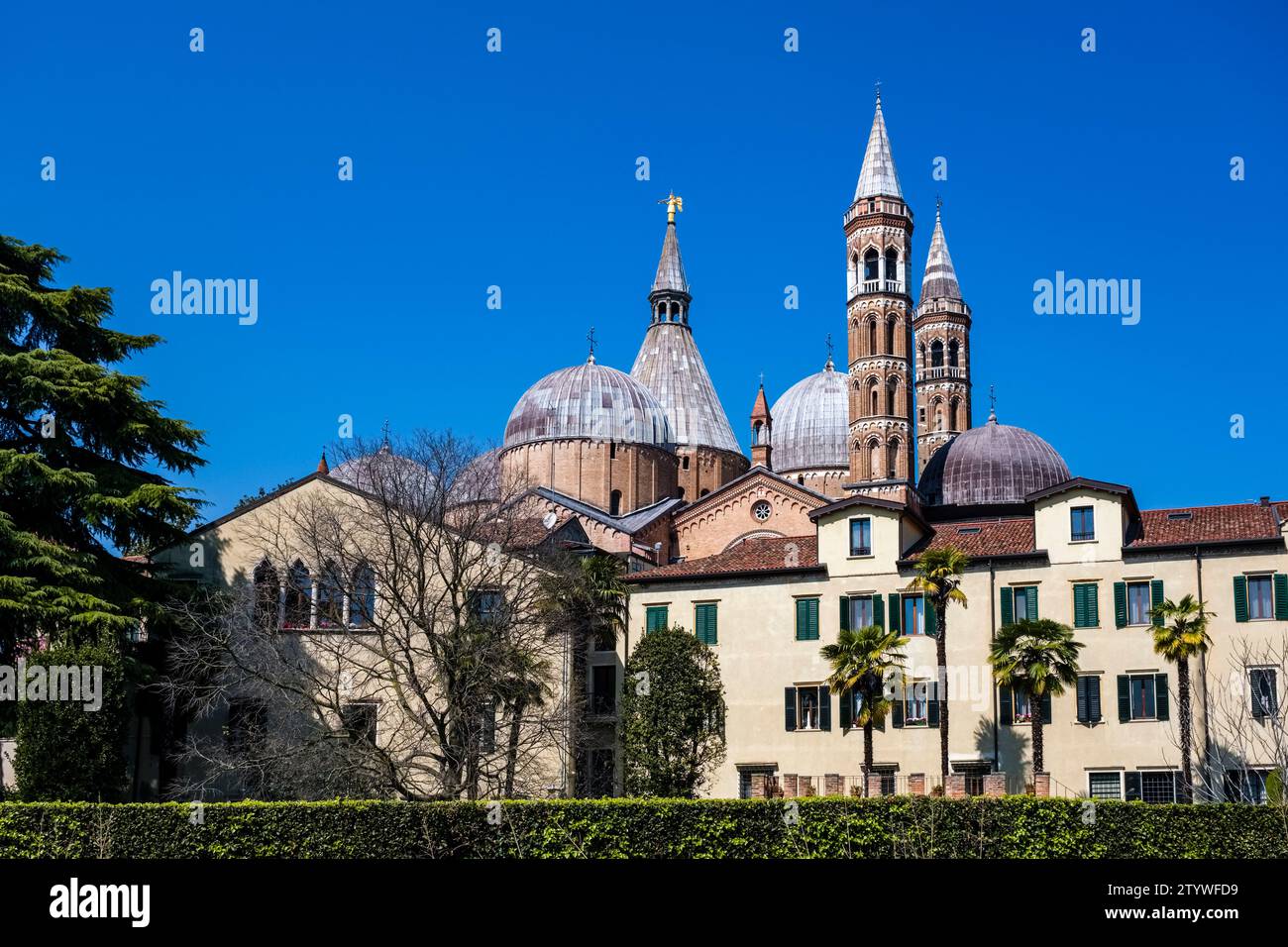 Tours et dômes de l'église du 13e siècle Basilique di Sant'Antonio di Padova, situé sur la Piazza del Santo. Banque D'Images