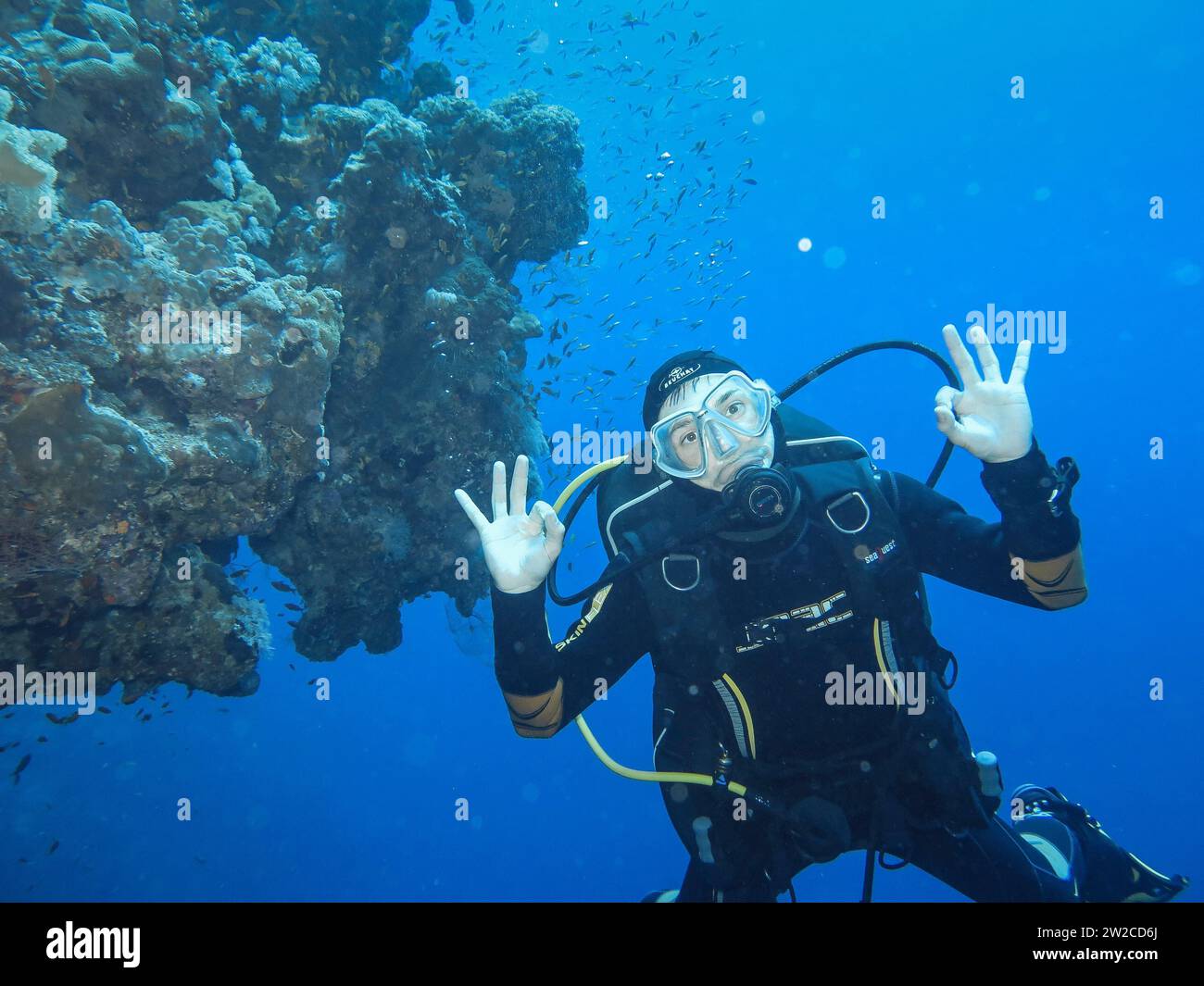 Taucher, Unterwasser-Foto, Tauchplatz Blue Hole, Dahab, Golf von Akaba, Rotes Meer, Sinaï, Ägypten Banque D'Images